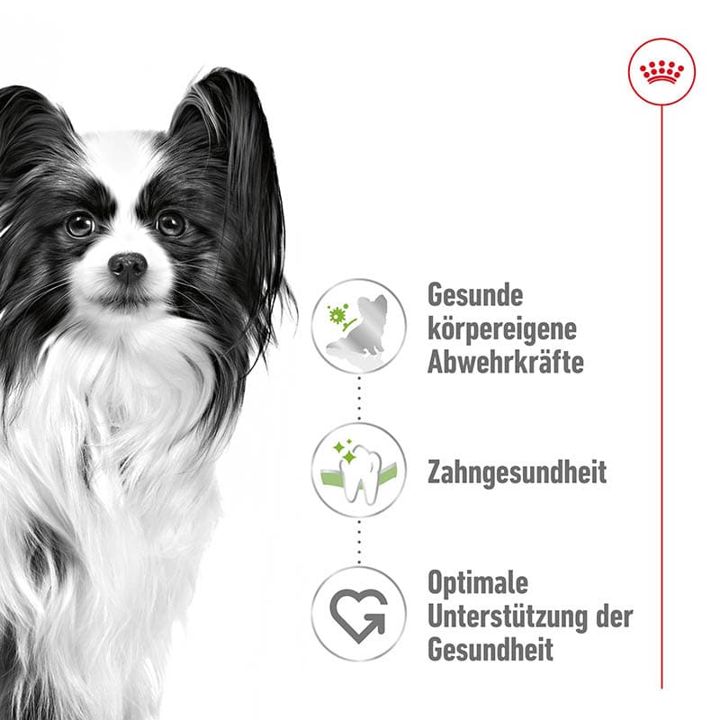 Royal Canin X-Small Adult Trockenfutter für sehr kleine Hunde_2