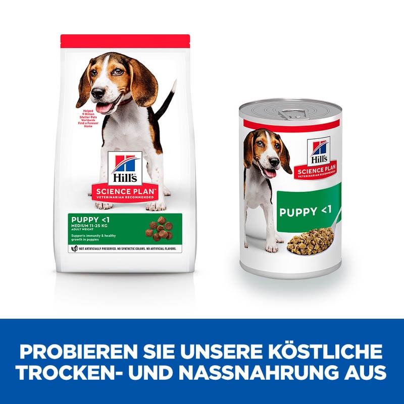 Hills Science Plan Puppy Welpenfutter mit Rind_2