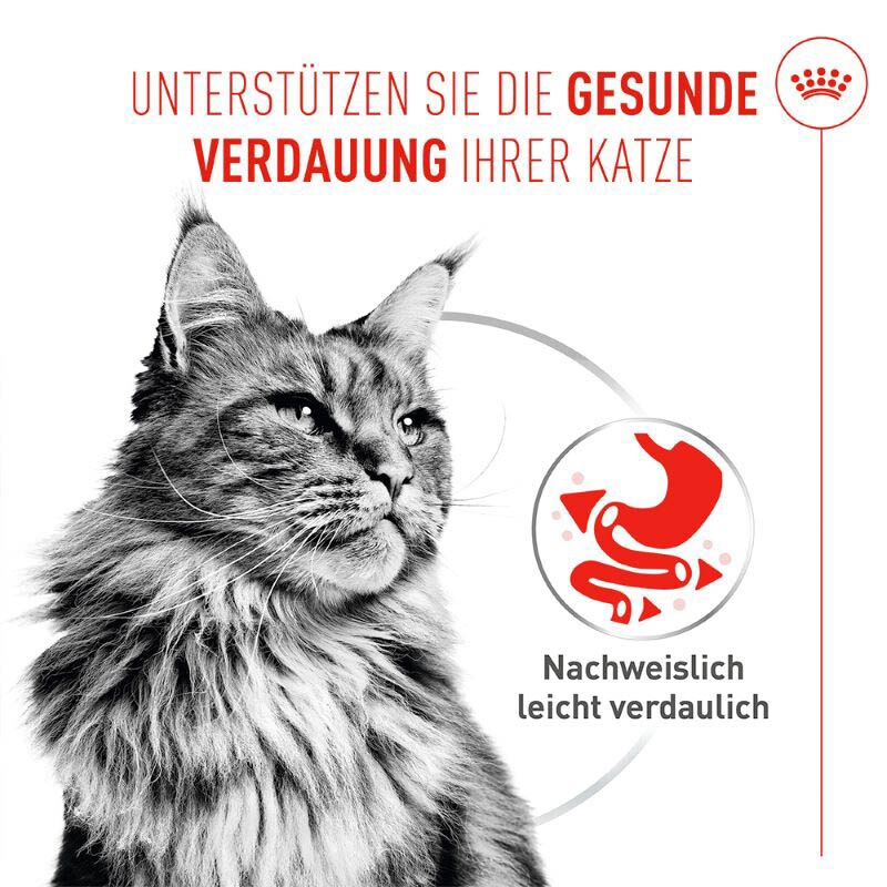 Royal Canin Digestive Care Airlift Mousse Feuchtnahrung für Katzen_1