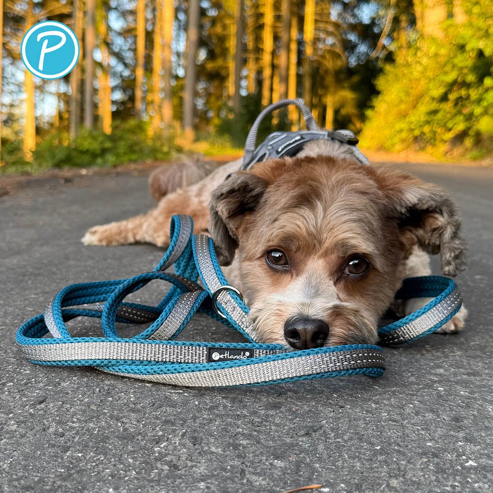 Petlando Outdoor Führleine petrol_3