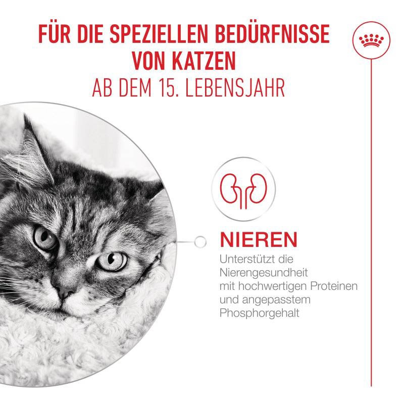 Royal Canin Ageing 15+ Ultra Soft Mousse Feuchtnahrung für Katzen_2