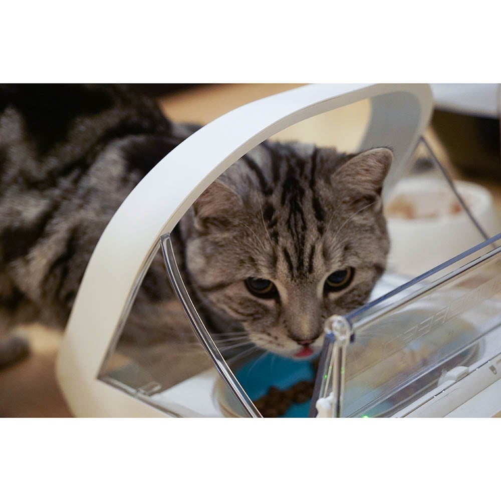 SureFeed Mikrochip-gesteuerter Futterautomat_5