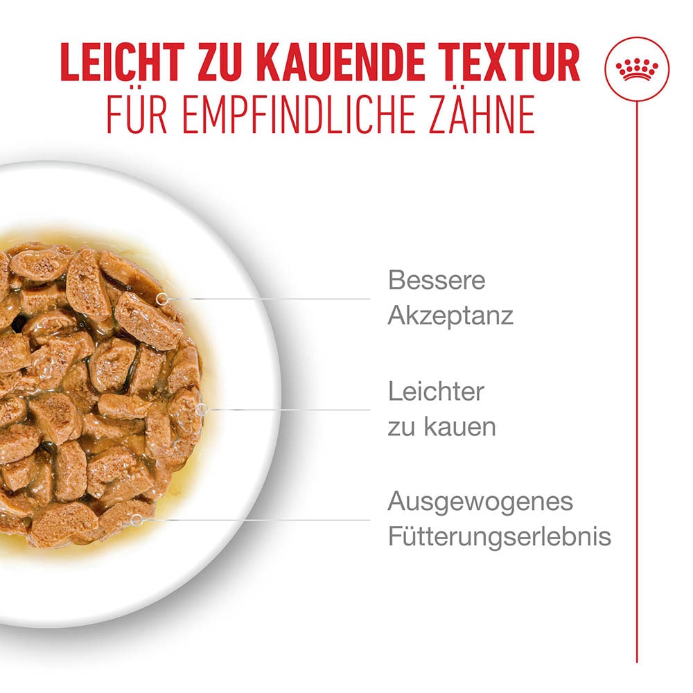 Royal Canin Ageing 15+ Feuchtnahrung in Soße für Senior Katzen ab dem 15. Lebensjahr_4