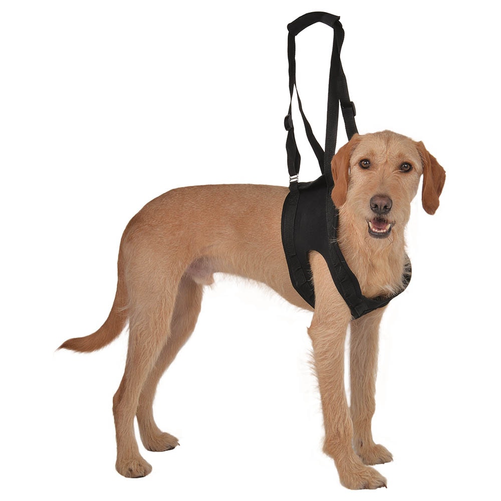 Tierarzt24 Gehhilfe_0