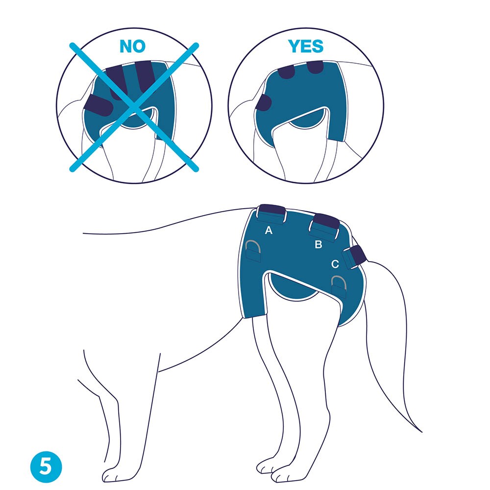 Balto Rehab BT Life_6