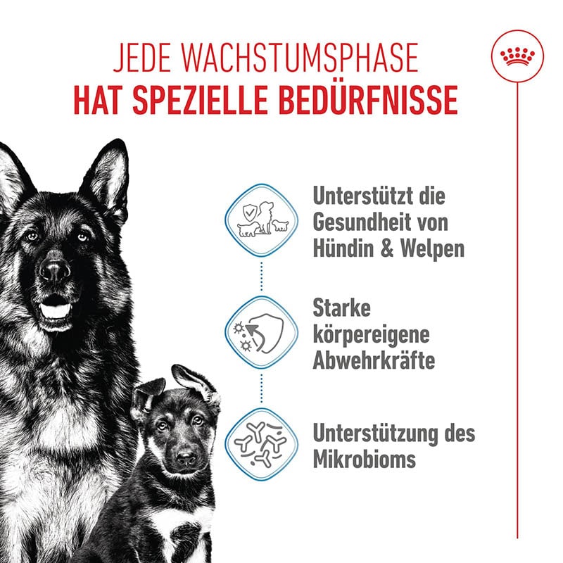 Royal Canin Maxi Starter für tragende Hündin und Welpen großer Rassen_1