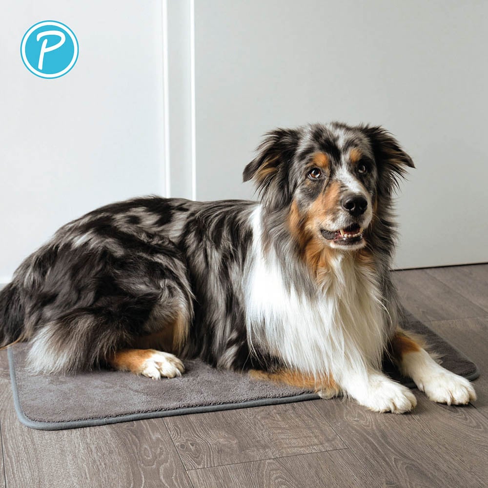 Petlando Pet Dry Mat stone_3