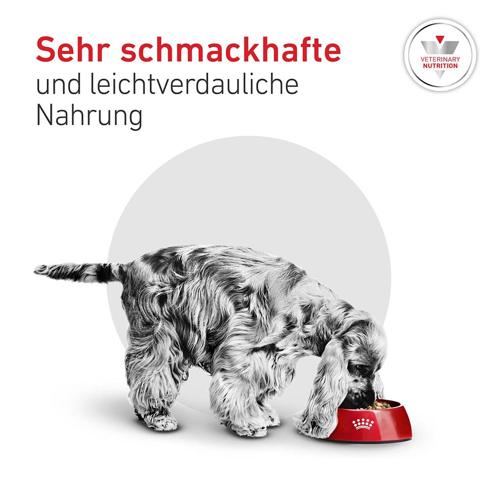 Royal Canin Veterinary Glycobalance Small Dog Trockenfutter für Hunde_5