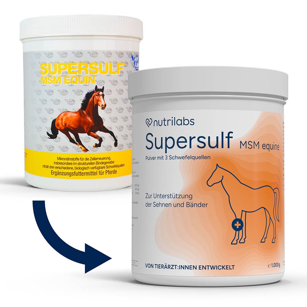 NutriLabs Supersulf MSM equin_1