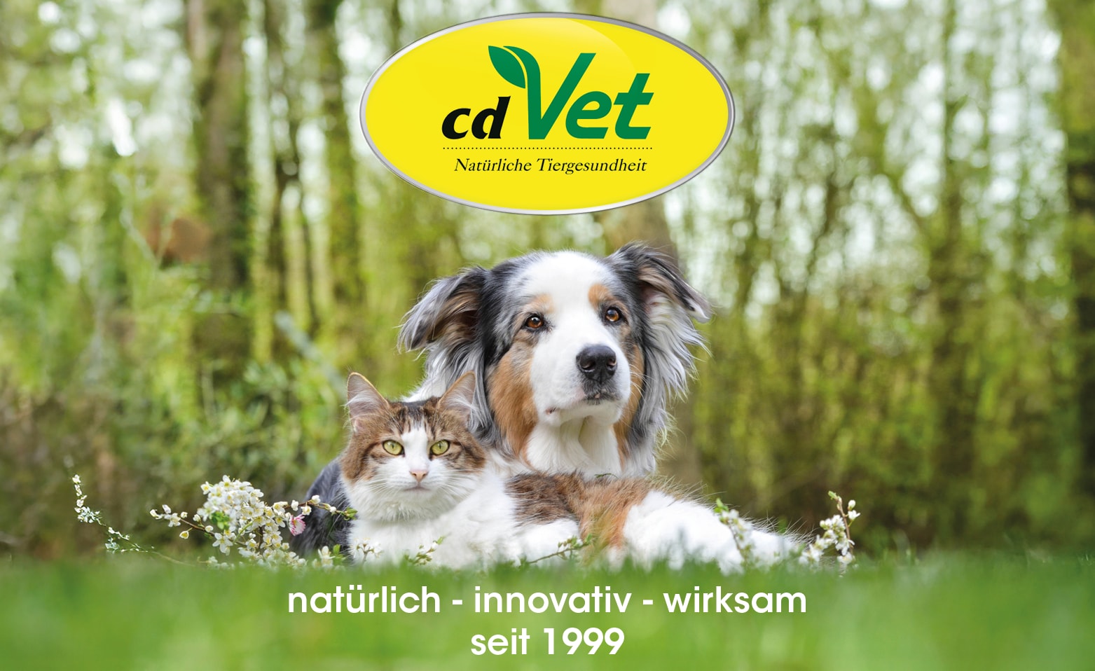 cdVet cdVet