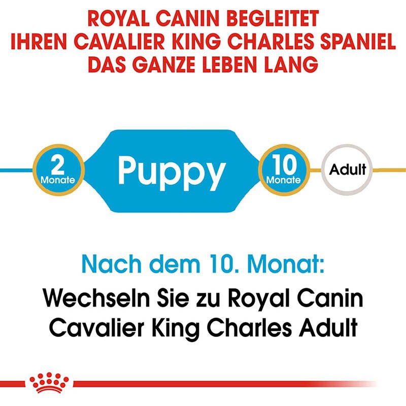 Royal Canin Cavalier King Charles Puppy Welpenfutter trocken_2