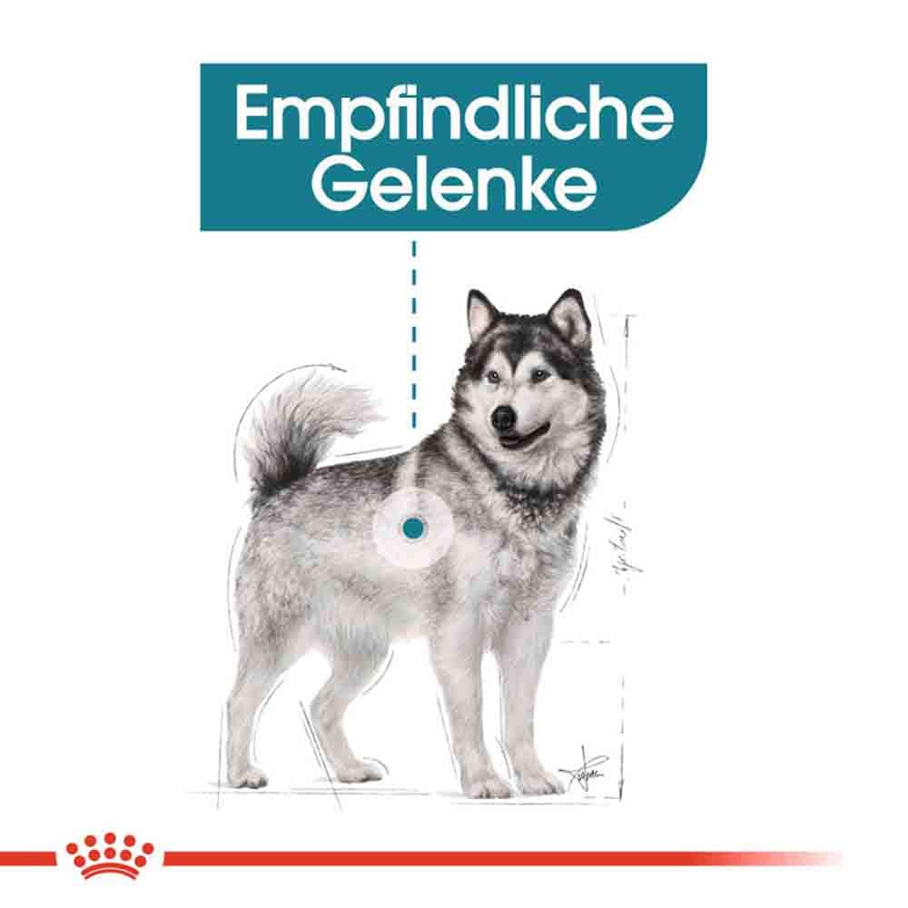 Royal Canin Joint Care Maxi Trockenfutter für große Hunde mit empfindlichen Gelenken_2