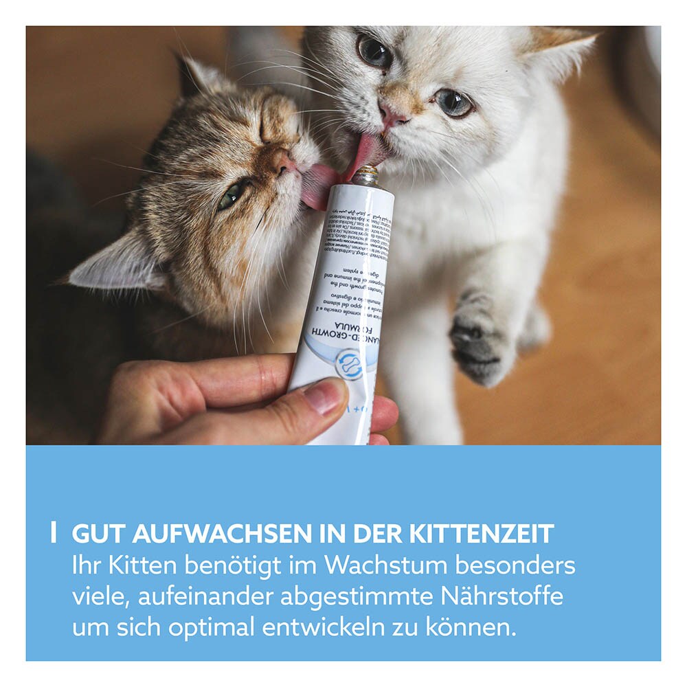 GimCat Kitten Paste_2