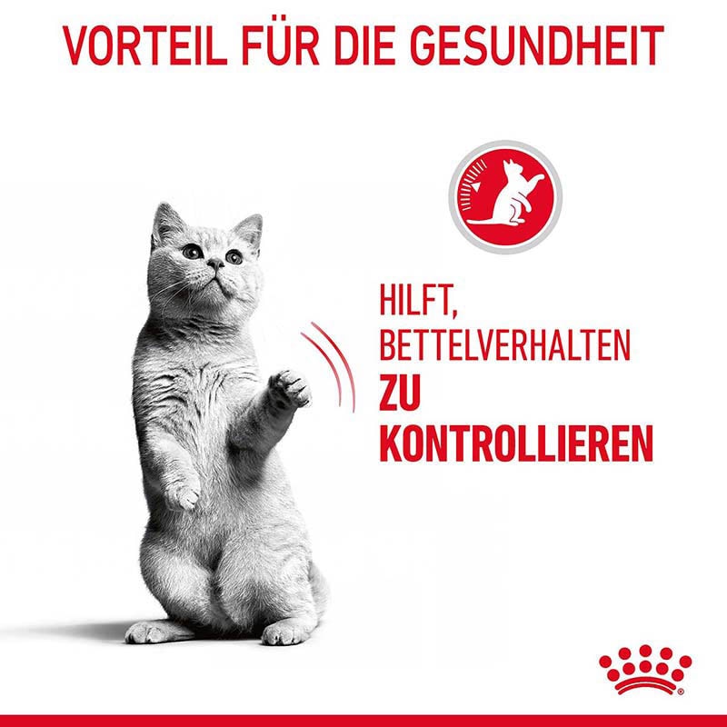Royal Canin Appetite Control Care Trockennahrung für erwachsene Katzen _2