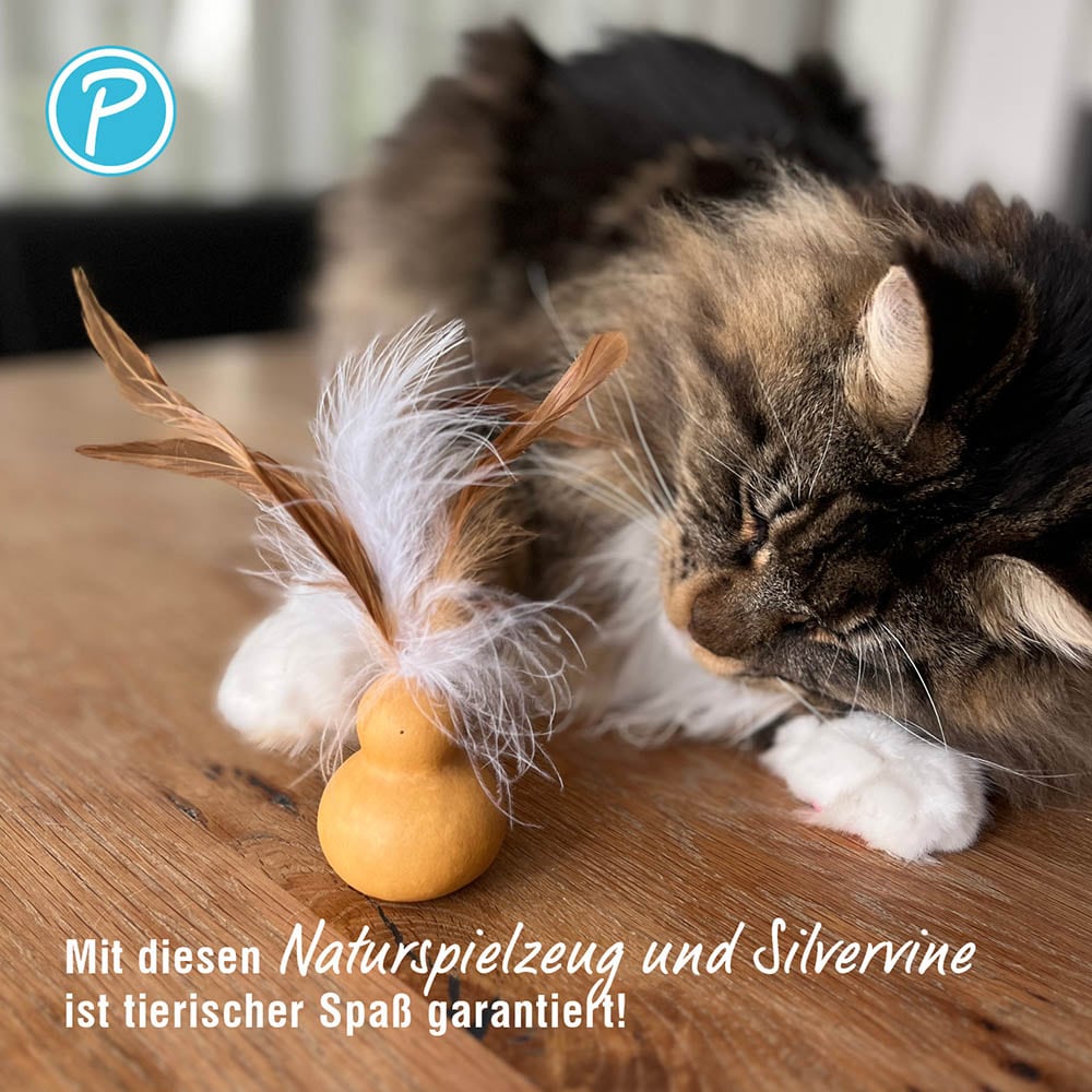 Petlando Earthcat Silvervine Flaschenkürbis_3