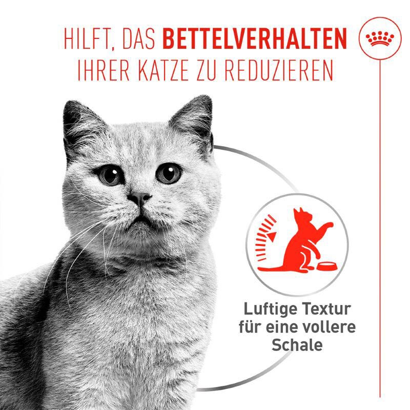 Royal Canin Appetite Control Airlift Mousse Feuchtnahrung für Katzen_1