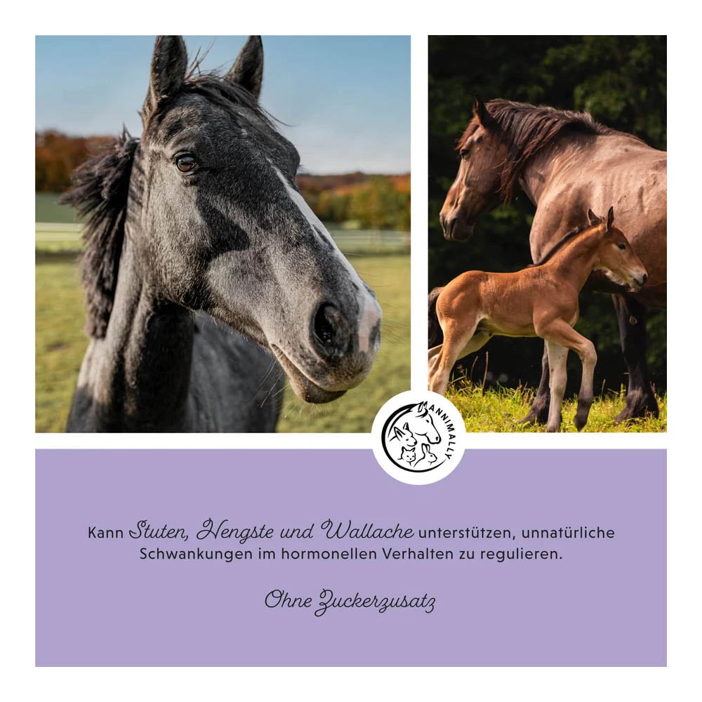 Annimally Mönchspfeffer Liquid_2