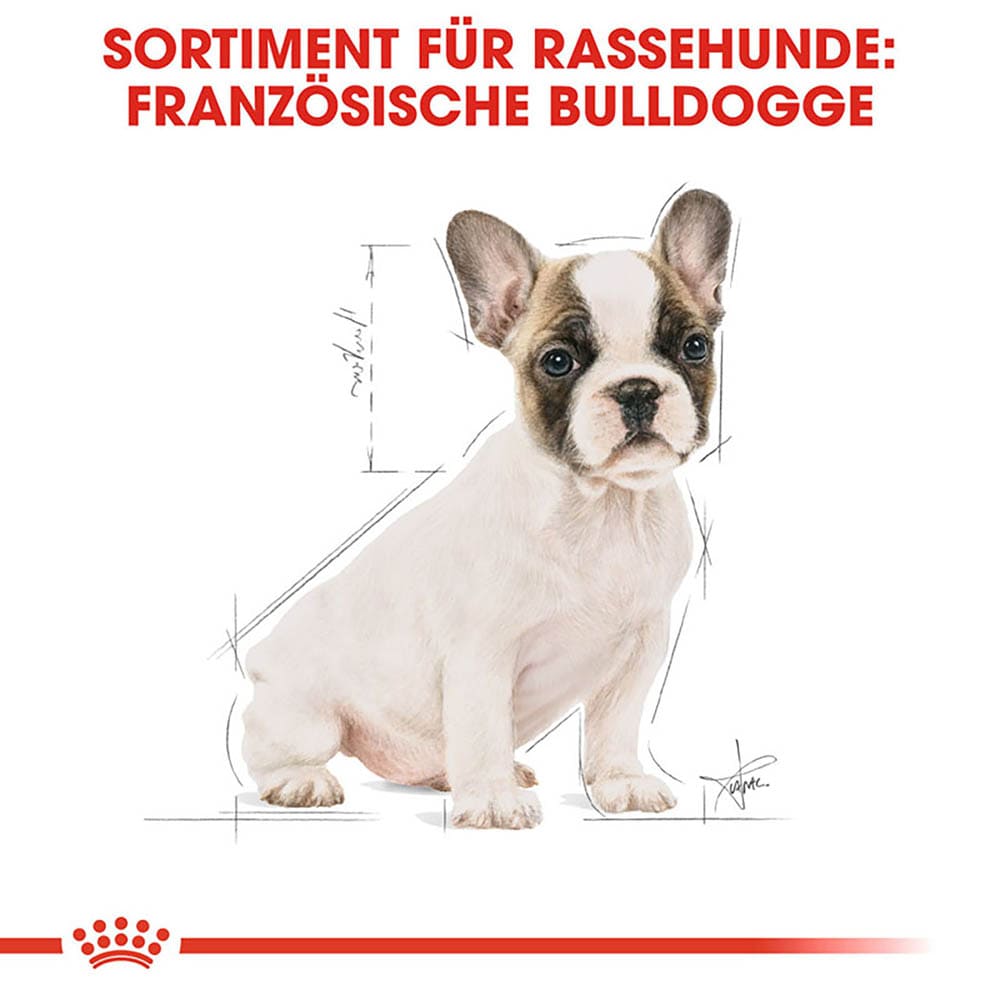 Royal Canin French Bulldog Puppy Welpenfutter trocken für Französische Bulldoggen_2