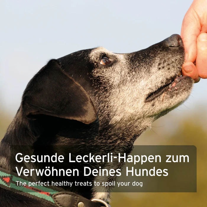 AniForte Dog Snacks Insekten_3