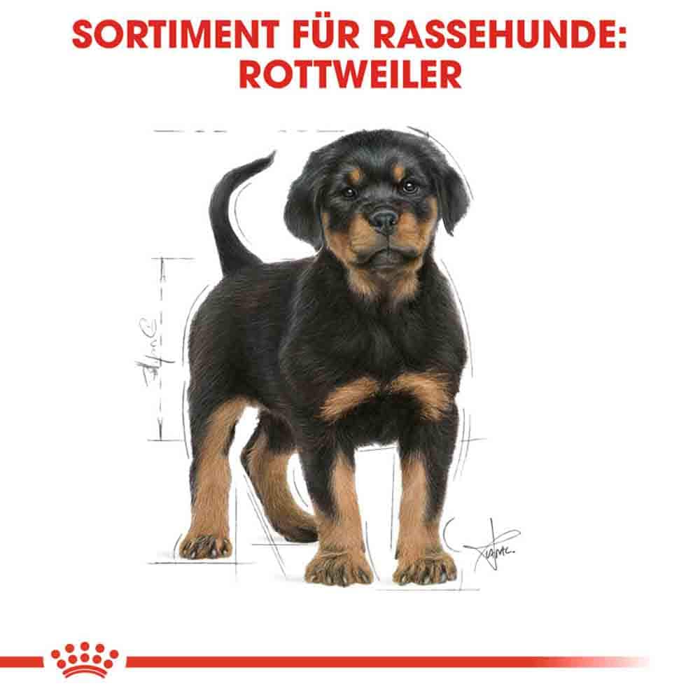 Royal Canin Rottweiler Puppy  Hunde_5