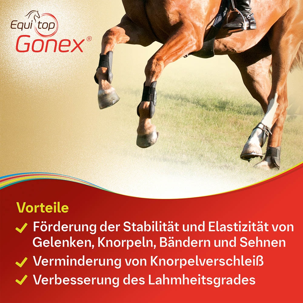 Boehringer Ingelheim Equitop Gonex_3