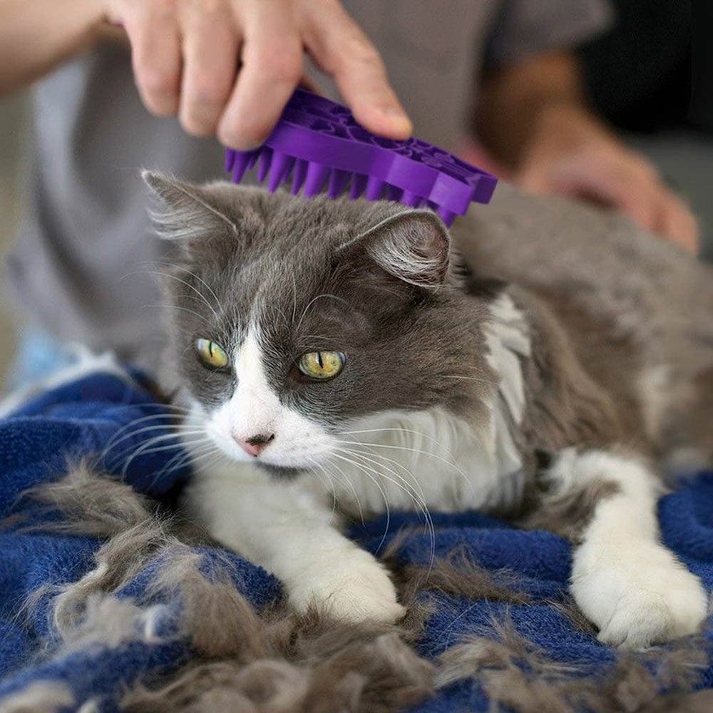 Kong ZoomGroom für Katzen_2