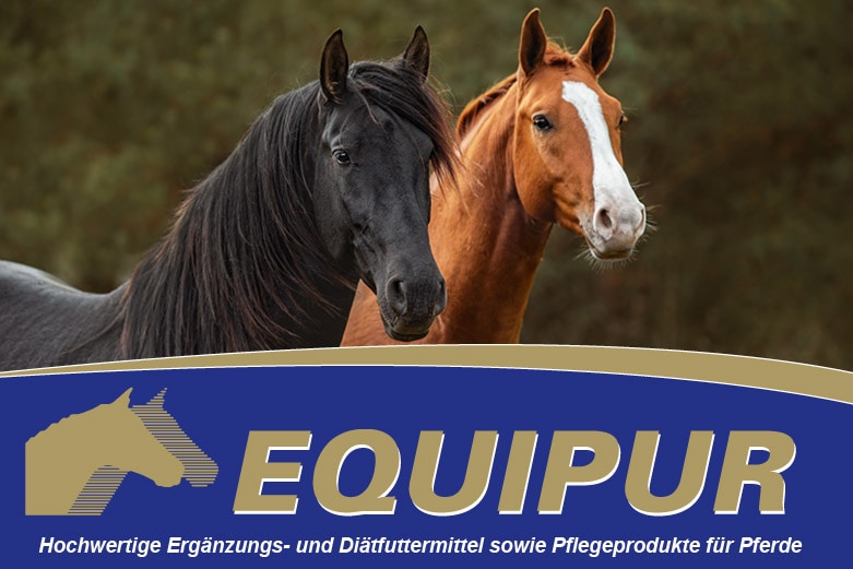 Equipur Equipur