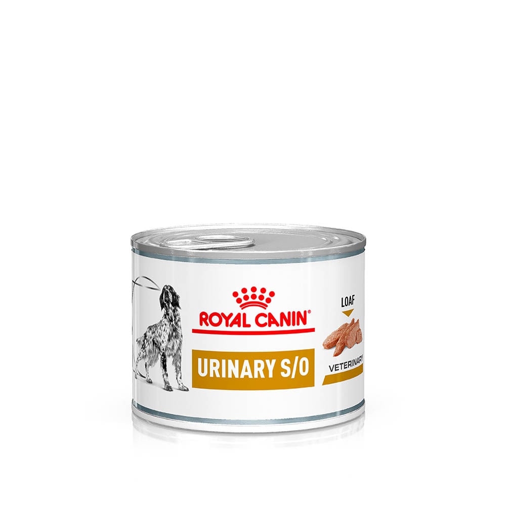 Royal Canin Veterinary Urinary S/O Mousse Nassfutter für Hunde_6