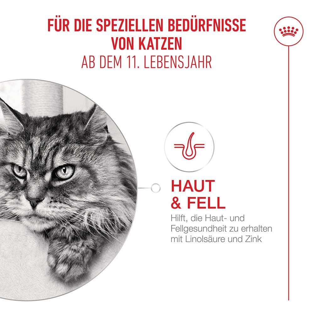 Royal Canin Ageing 11+ Trockennahrung für Senior Katzen ab dem 11. Lebensjahr_2