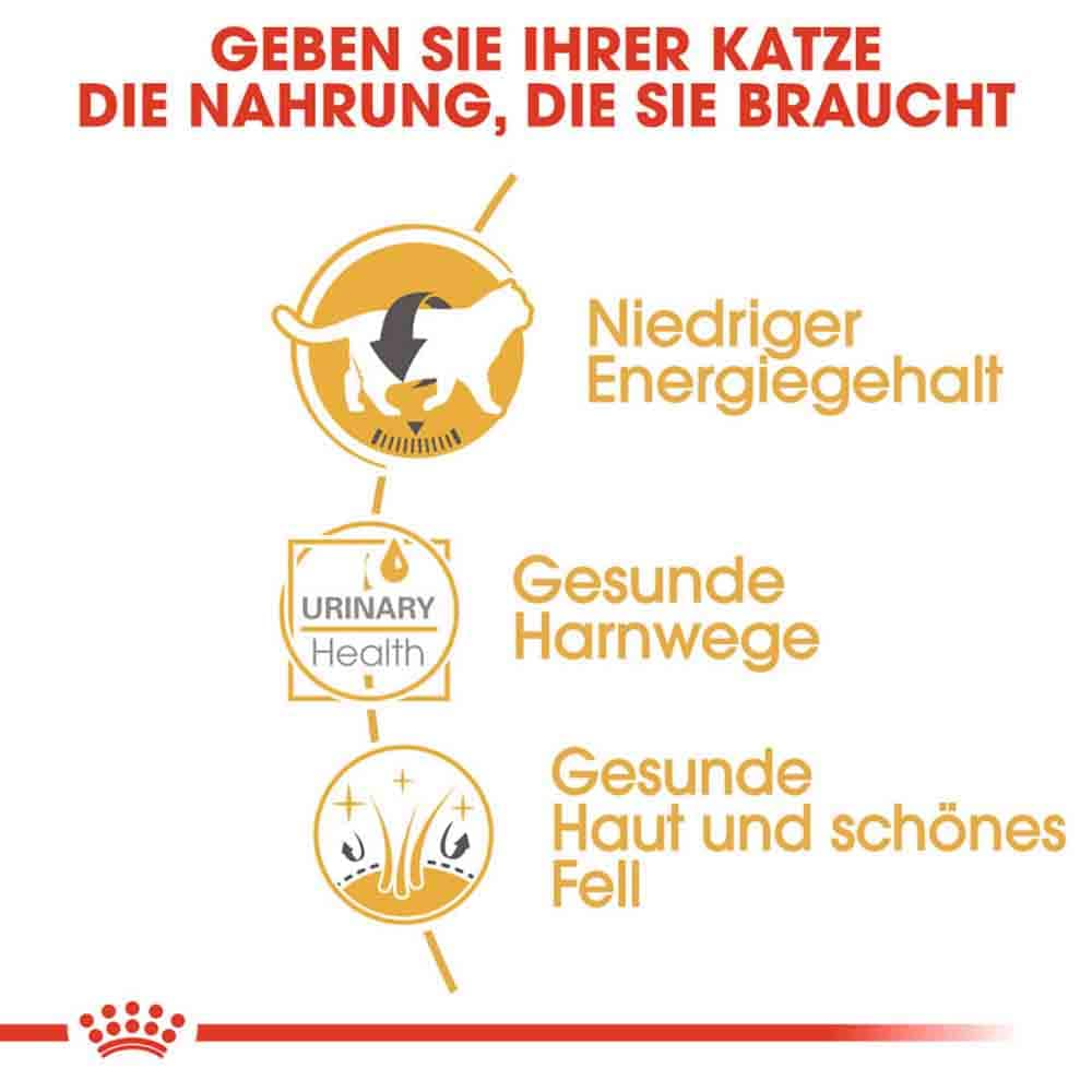 Royal Canin British Shorthair Adult Katzenfutter nass für Britisch Kurzhaar_3