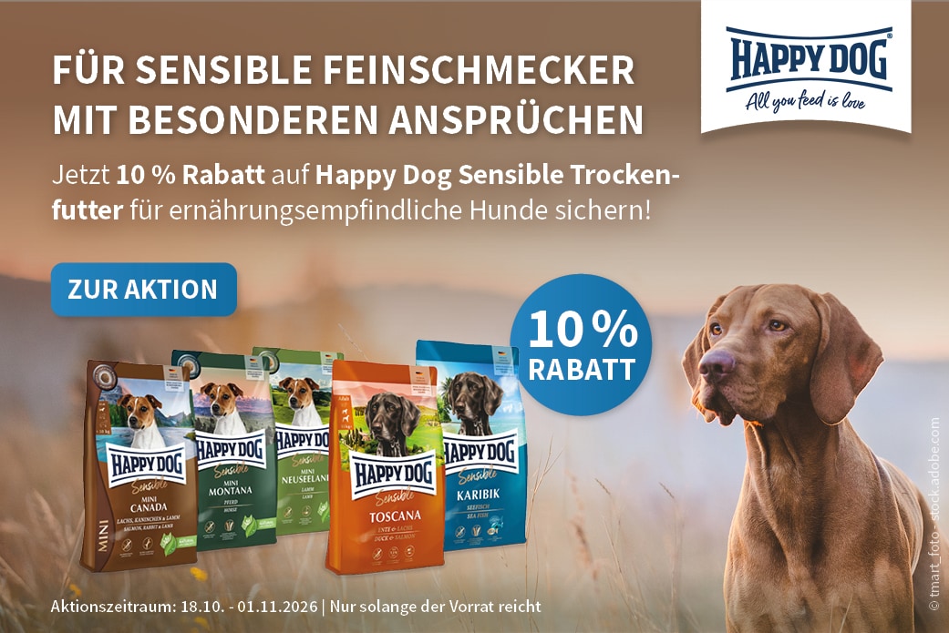 Happy Dog