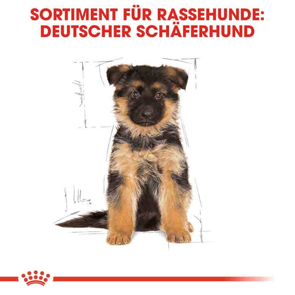 Royal Canin German Shepherd Puppy Welpenfutter trocken_5