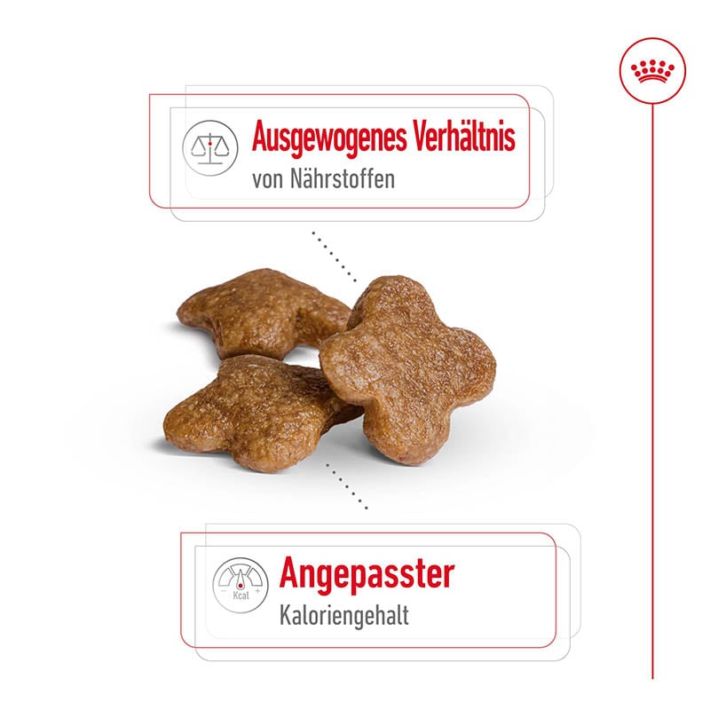 Royal Canin Mini Adult 8+ Trockenfutter für ältere kleine Hunde_2