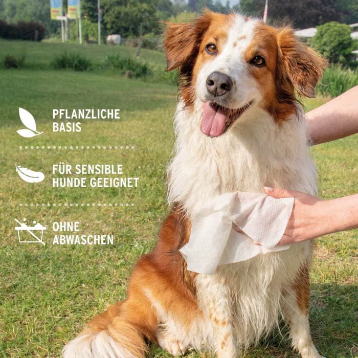 AniForte Pflegetücher_5