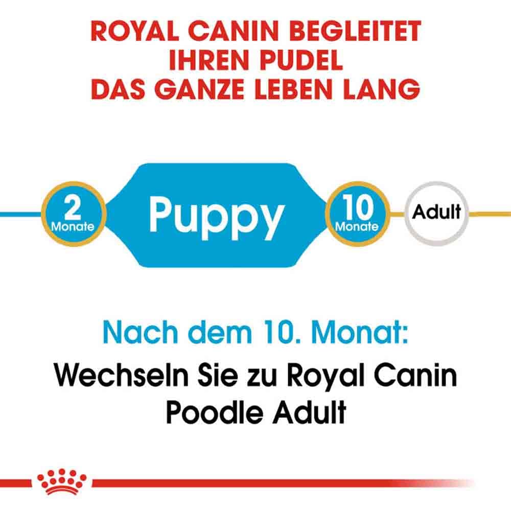 Royal Canin Poodle Puppy Welpenfutter_2