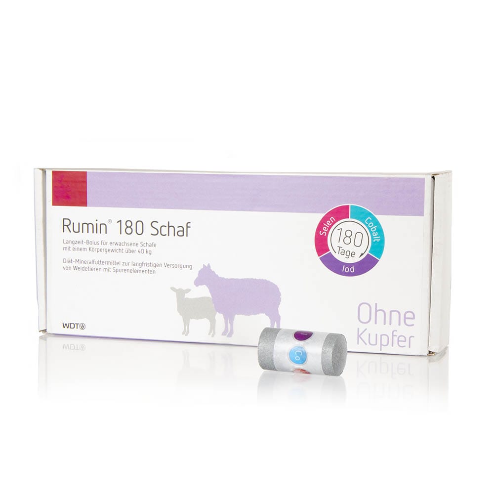 WDT Rumin 180 Schaf_0