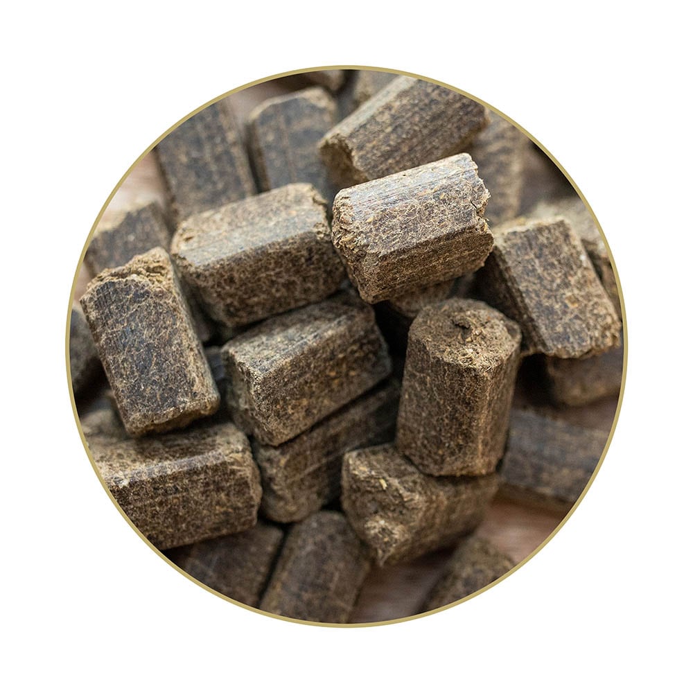 St. Hippolyt SemperCube_1