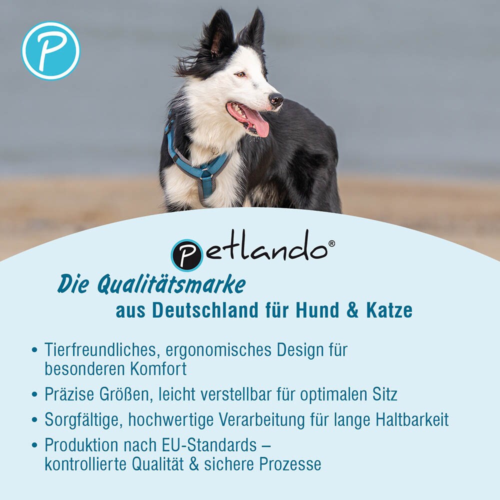 Petlando Magnetech Y-Comfort Geschirr anthrazit/petrol_5