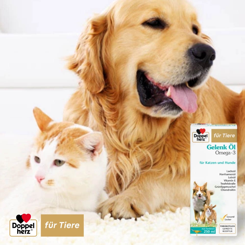 Doppelherz Gelenk Öl für Hunde und Katzen_4
