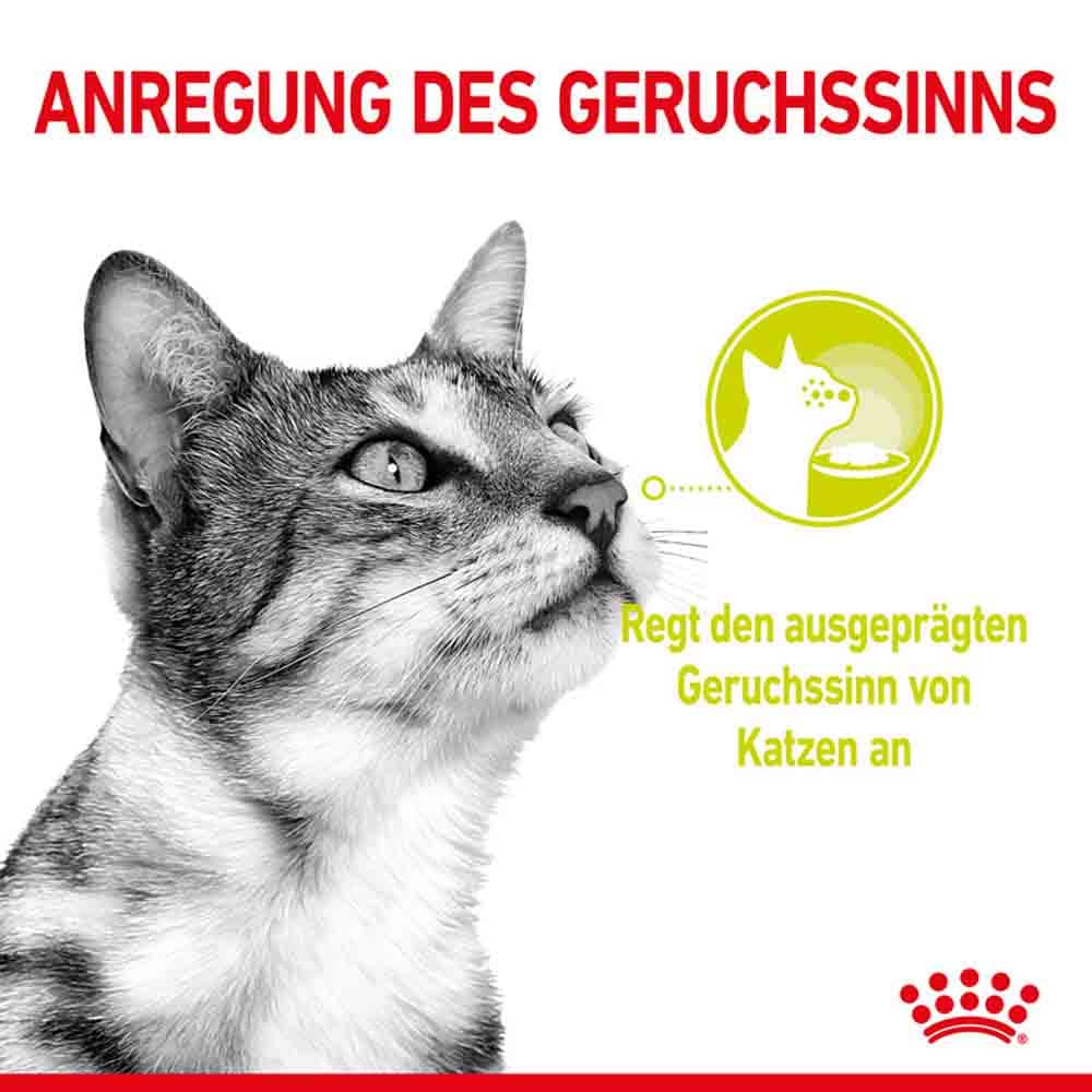 Royal Canin Sensory Smell Taste Feel Nassfutter Multipack in Soße für wählerische Katzen_2