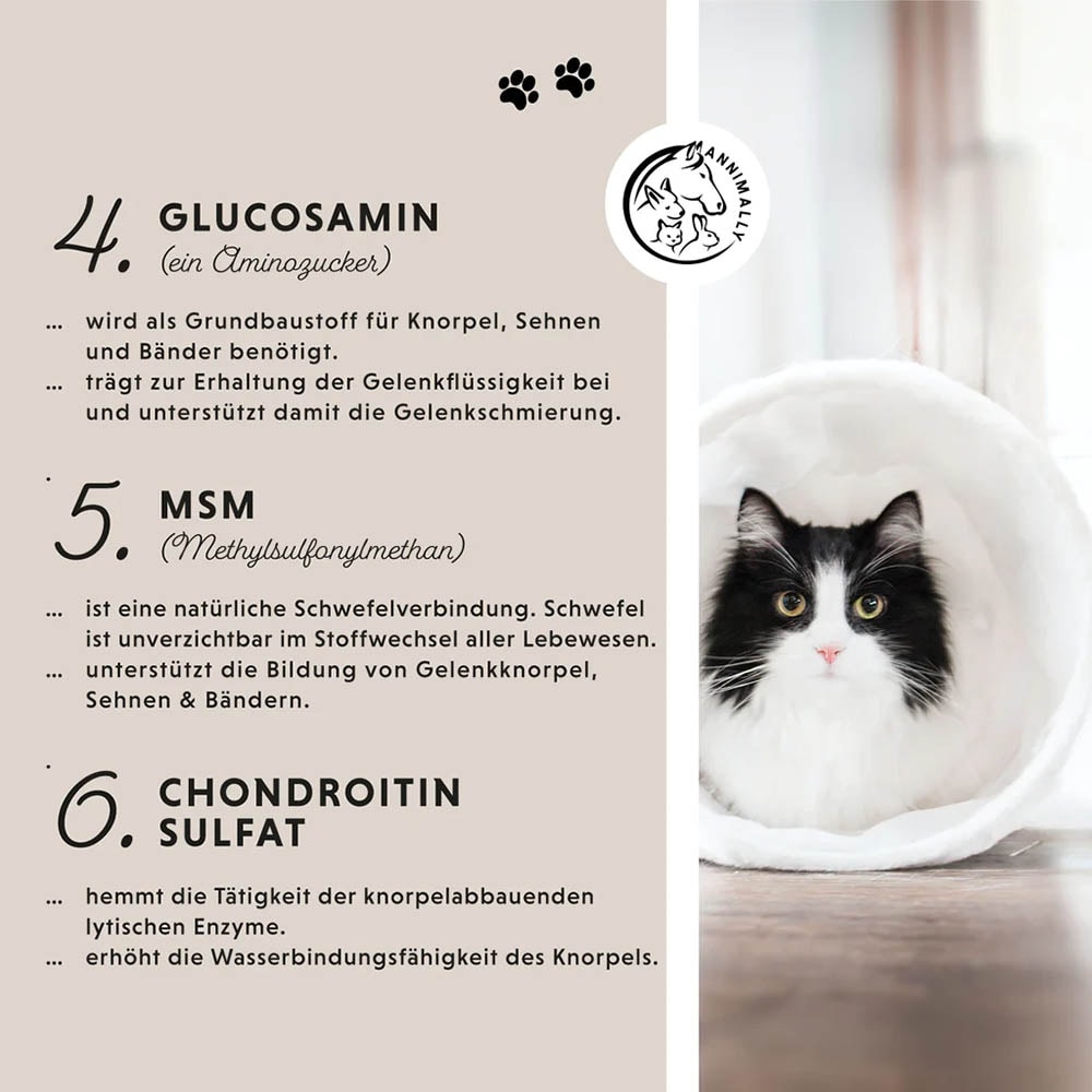 Annimally Gelenk Komplex_3