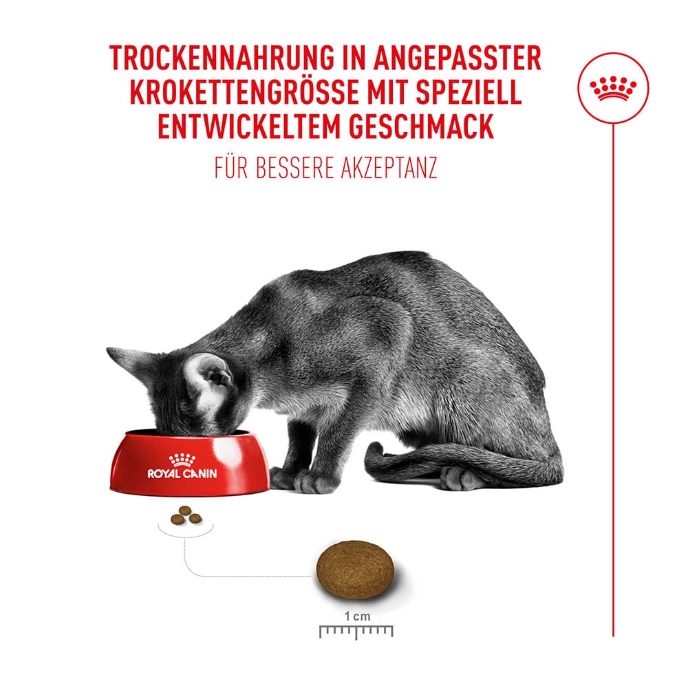 Royal Canin Fussy Exigent Trockennahrung für wählerische Katzen_4