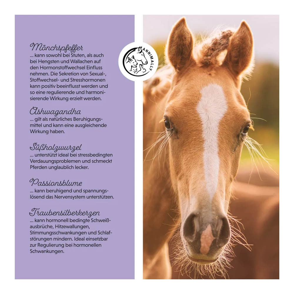 Annimally Mönchspfeffer Liquid_3