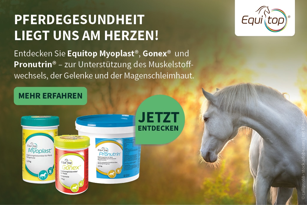 Equitop Equitop