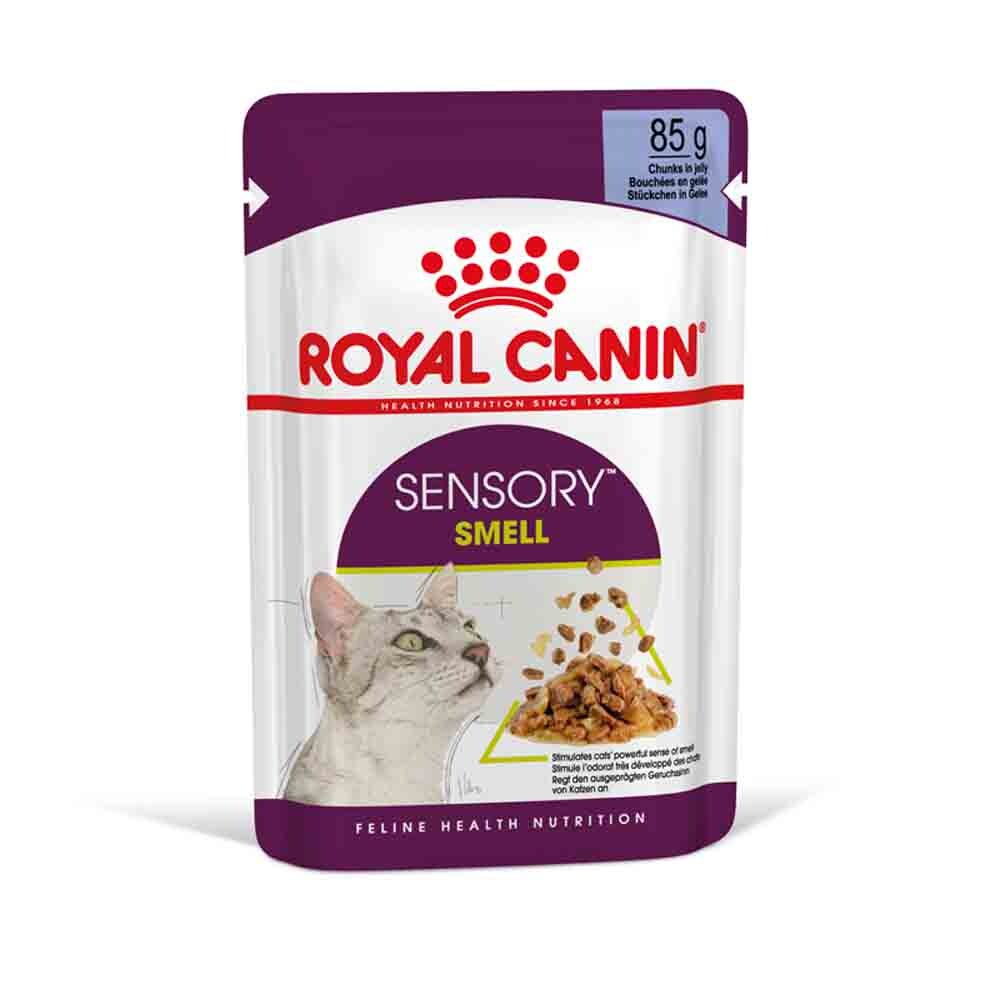 Royal Canin Sensory Smell Smell Nassfutter in Gelee für wählerische Katzen_1