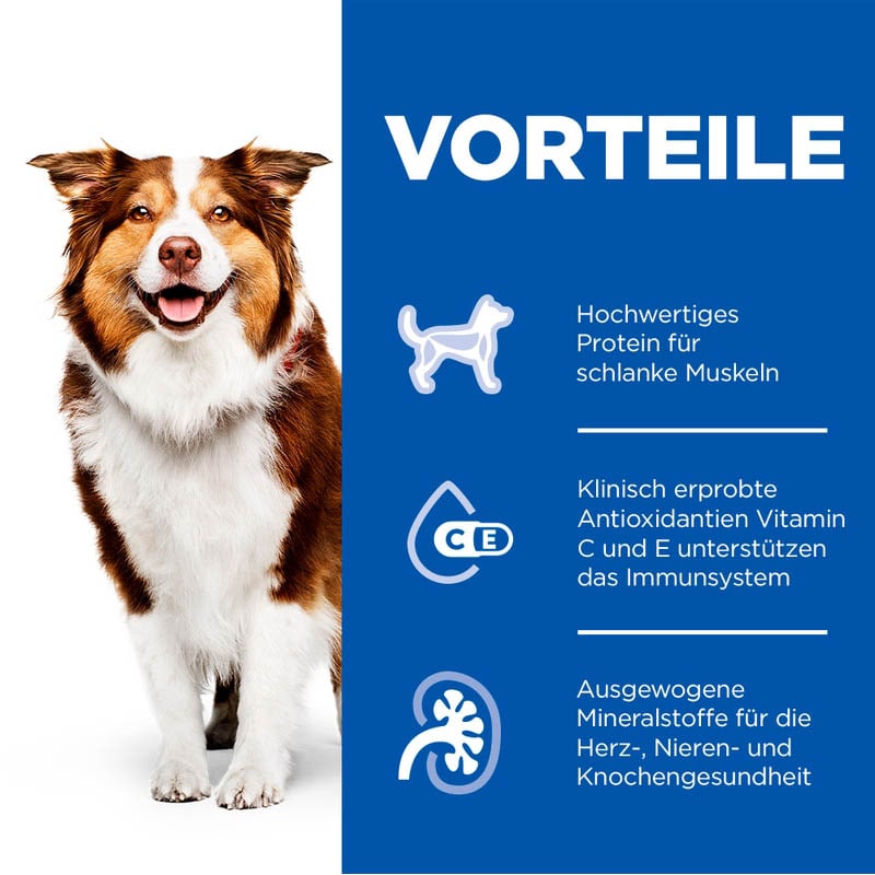 Hills Science Plan Mature Adult 7+ Nassfutter für Hunde mit Rind_2