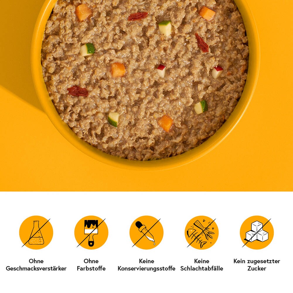 Fred Senior Huhn mit Quinoa_2