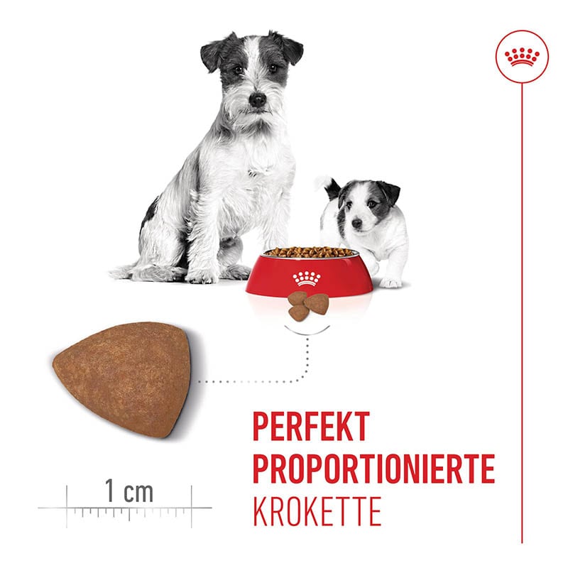 Royal Canin Starter Mini_3