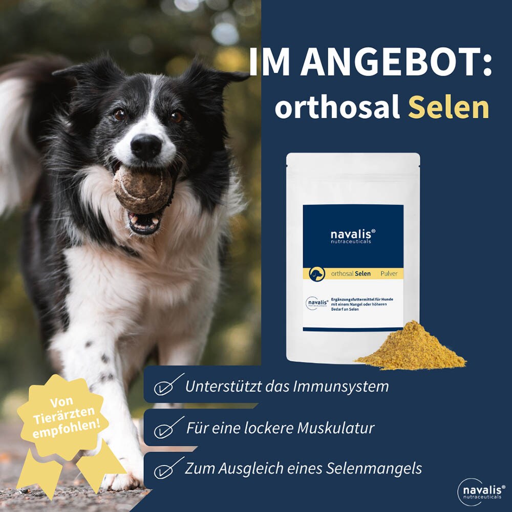 navalis orthosal Selen Dog Pulver_2
