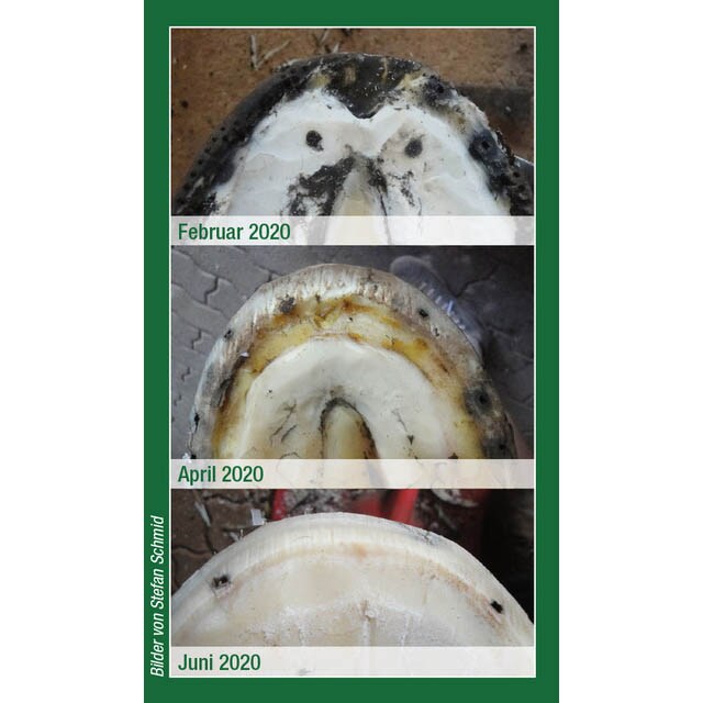 Keralit Undercover_5